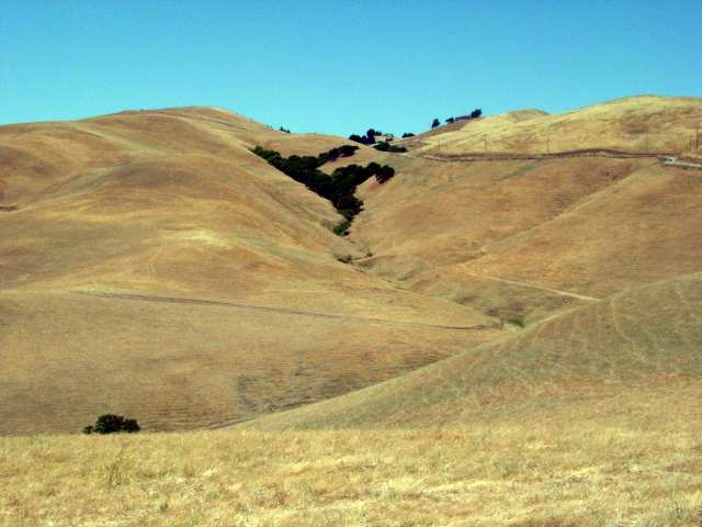 10625 MORGAN TERRITORY RD, LIVERMORE, California 94551, ,Lots And Land,For Sale,MORGAN TERRITORY RD,40935194