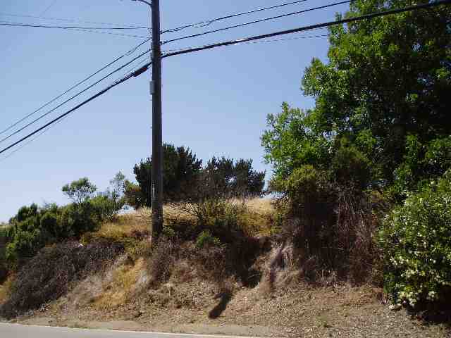 5600 JENSEN ROAD, CASTRO VALLEY, California 94552, ,Lots And Land,For Sale,JENSEN ROAD,40935200