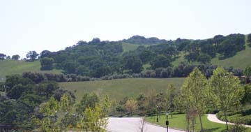 3001 WEST RUBY HILL DRIVE, PLEASANTON, California 94566, ,Lots And Land,For Sale,WEST RUBY HILL DRIVE,40935231