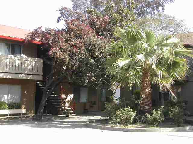 1090 MI CASA CT, CONCORD, California 94518-3156, ,Comm Ri Multi-units 5+,For Sale,MI CASA CT,40030586