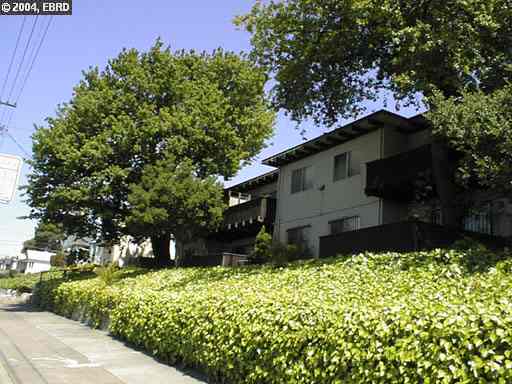 2800 21ST AVE, OAKLAND, California 94606-3463, ,Comm Ri Multi-units 5+,For Sale,21ST AVE,40037841