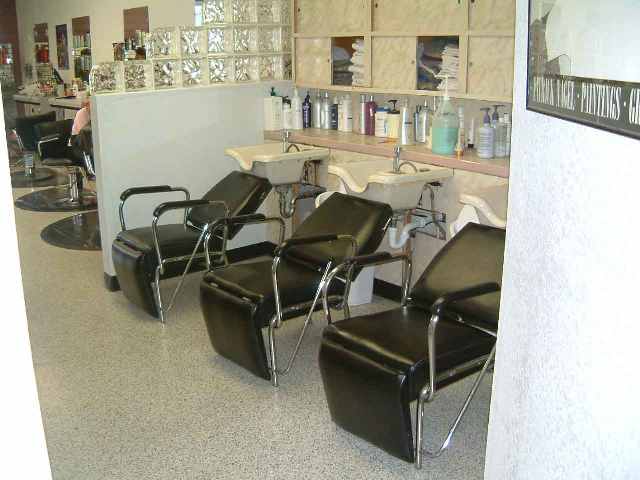 39957 Mission Blvd, FREMONT, California 94539, ,Comm Business Opportunity,For Sale,Mission Blvd,40934272