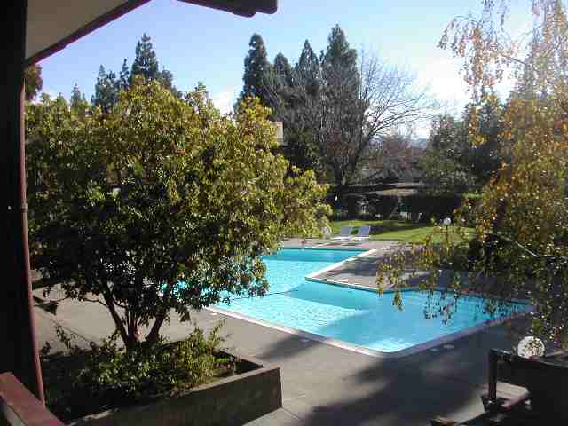 555 Chollo Court, PLEASANT HILL, California 94523-1466, ,Comm Ri Multi-units 5+,For Sale,Chollo Court,40053573