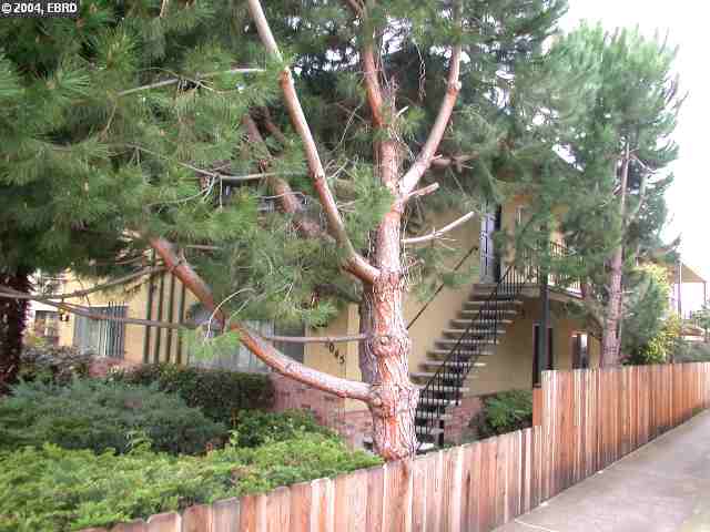 1045 REGENT ST, ALAMEDA, California 94501-5351, ,Comm Ri Multi-units 5+,For Sale,REGENT ST,40062647
