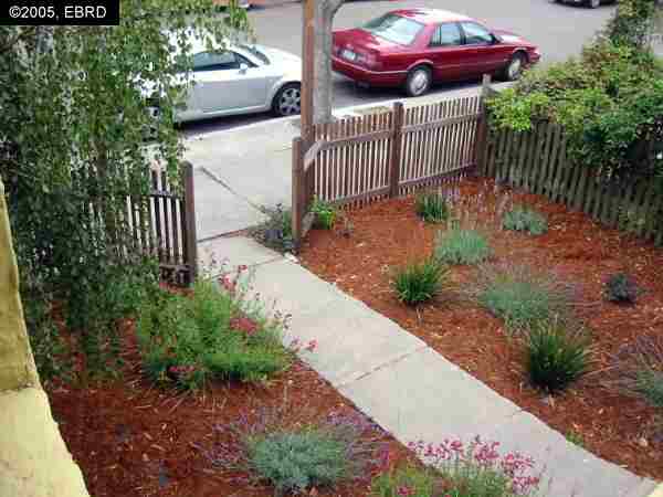 1416 8TH ST, BERKELEY, California 94710-1446, ,Comm Ri Multi-units 5+,For Sale,8TH ST,40071311