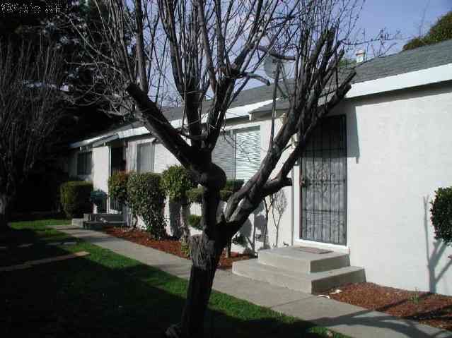 20673 FOREST AVE, CASTRO VALLEY, California 94546-4530, ,Comm Ri Multi-units 5+,For Sale,FOREST AVE,40071616