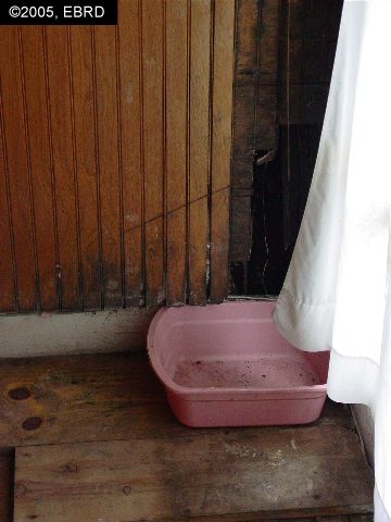 1276 UNIVERSITY AVE, BERKELEY, California 94702-1725, ,Comm Industrial For Sale,For Sale,UNIVERSITY AVE,40935128