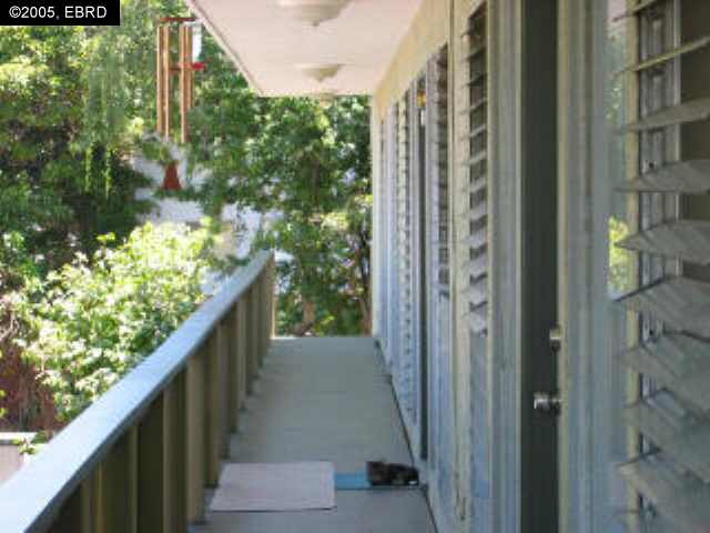 2427 MCKINLEY AVENUE, BERKELEY, California 94703-1949, ,Comm Ri Multi-units 5+,For Sale,MCKINLEY AVENUE,40093078