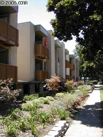 2354 BONIFACIO ST, CONCORD, California 94520-2044, ,Comm Ri Multi-units 5+,For Sale,BONIFACIO ST,40103803