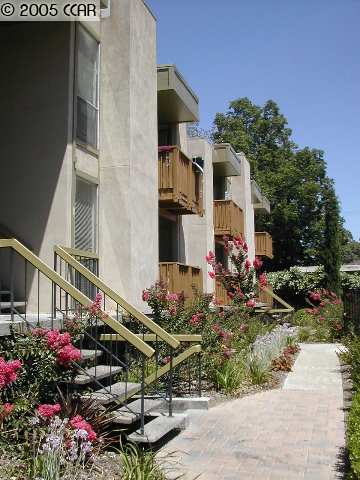 2354 BONIFACIO ST, CONCORD, California 94520-2044, ,Comm Ri Multi-units 5+,For Sale,BONIFACIO ST,40103803