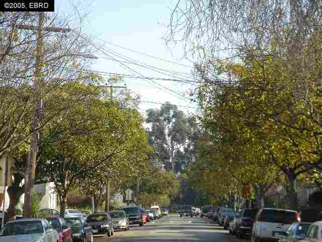 466 37TH ST, OAKLAND, California 94609-2835, ,Comm Ri Multi-units 5+,For Sale,37TH ST,40143215