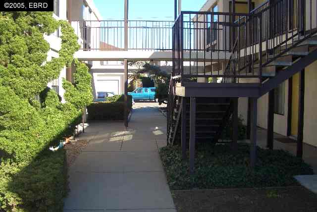 3263 Belmont Ave, EL CERRITO, California 94530-3827, ,Comm Ri Multi-units 5+,For Sale,Belmont Ave,40153077