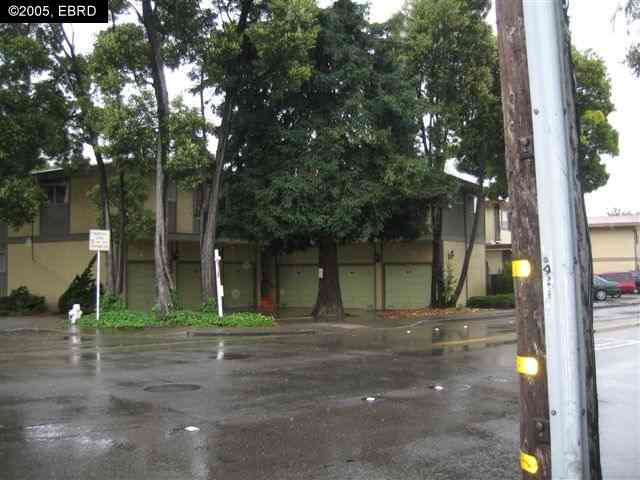 3213 SANTA CLARA AVE, EL CERRITO, California 94530-3845, ,Comm Ri Multi-units 5+,For Sale,SANTA CLARA AVE,40156697