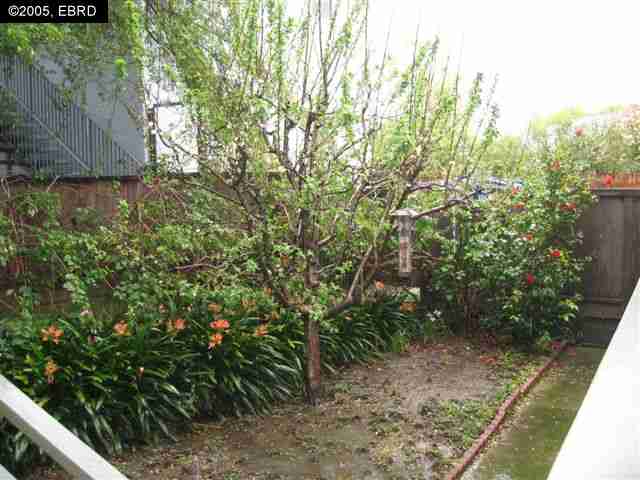 3213 SANTA CLARA AVE, EL CERRITO, California 94530-3845, ,Comm Ri Multi-units 5+,For Sale,SANTA CLARA AVE,40156697