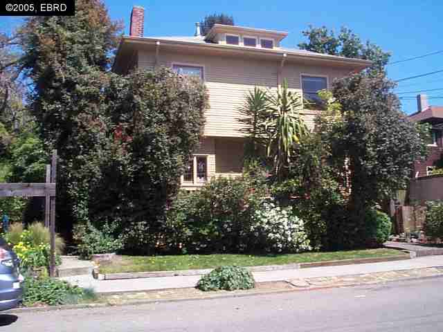 1433 Spruce St, BERKELEY, California 94709, ,Comm Ri Multi-units 5+,For Sale,Spruce St,40162591