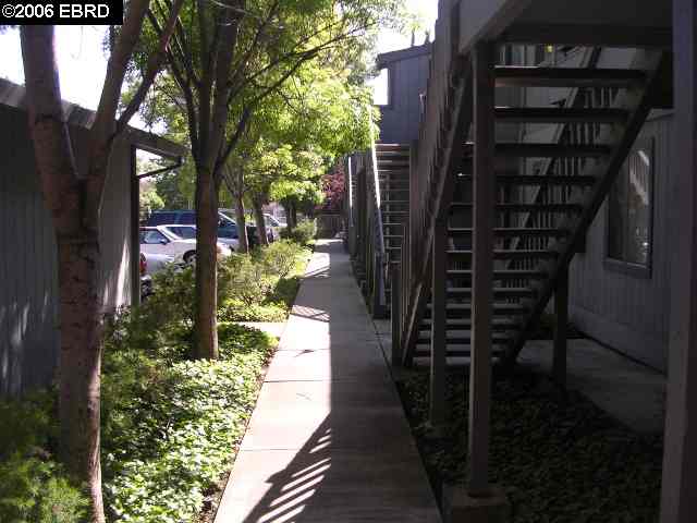 16160 Marcella St, SAN LEANDRO, California 94578, ,Comm Ri Multi-units 5+,For Sale,Marcella St,40191177