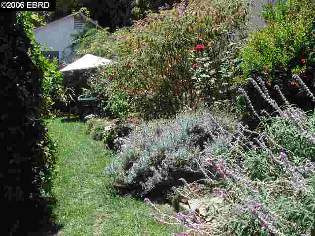 1379 Hampel Street, OAKLAND, California 94602, ,Comm Ri Multi-units 5+,For Sale,Hampel Street,40192792