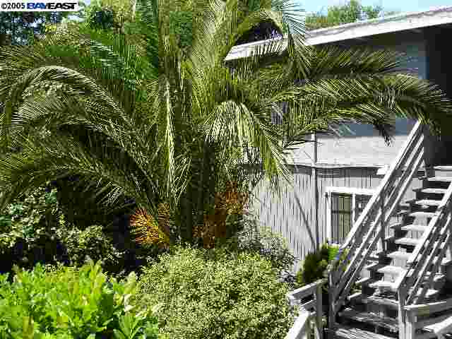 1810 25TH ST, OAKLAND, California 94606-3336, ,Comm Ri Multi-units 5+,For Sale,25TH ST,40198320