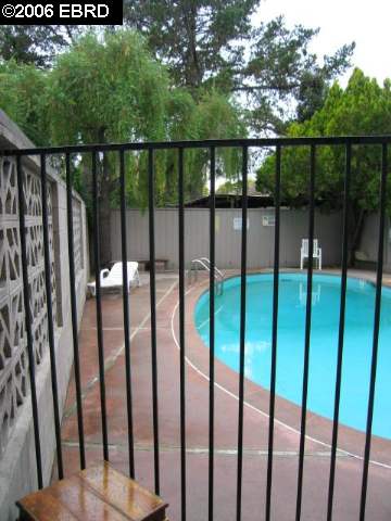 2321 WEBSTER ST, BERKELEY, California 94705-1917, ,Comm Ri Multi-units 5+,For Sale,WEBSTER ST,40221338