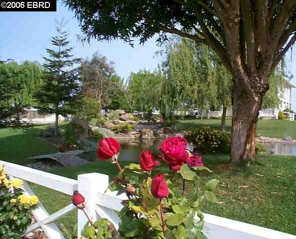 1130 SUNSET RD, BRENTWOOD, California 94513-2800, ,Comm Industrial For Lease,For Rent,SUNSET RD,40935295