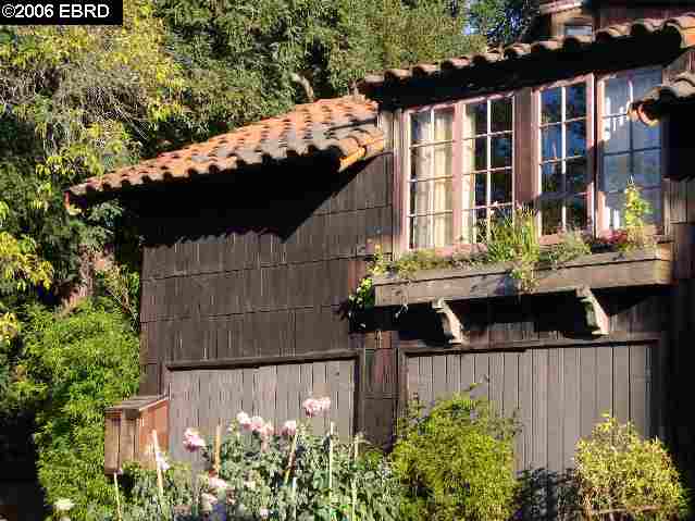 2501 ROSE WALK, BERKELEY, California 94708-1902, ,Comm Ri Multi-units 5+,For Sale,ROSE WALK,40221708