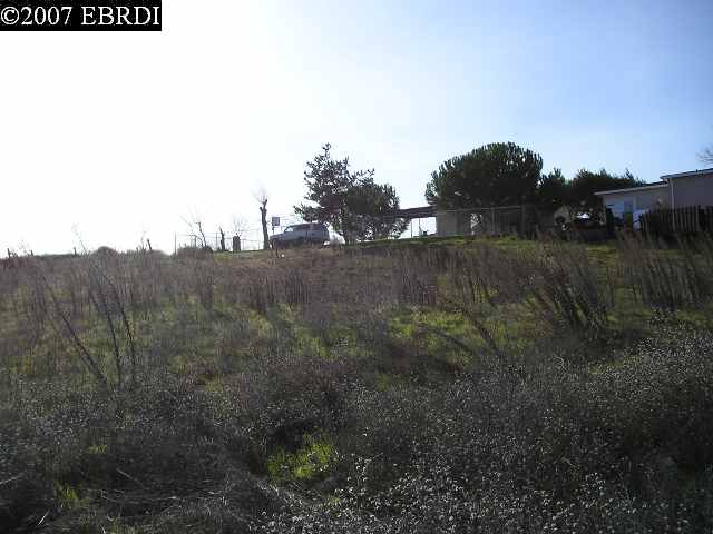 491 DELTA RD, OAKLEY, California 94561-2849, ,Comm Lots And Land,For Sale,DELTA RD,40933665