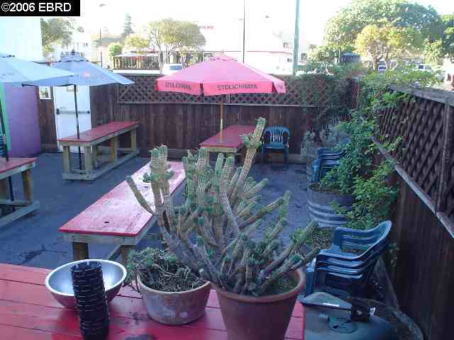 1303 PARK ST, ALAMEDA, California 94501-4507, ,Comm Ri Multi-units 5+,For Sale,PARK ST,40230520