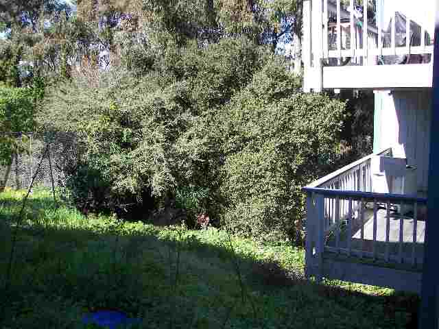 2550 COURTLAND AVE, OAKLAND, California 94601-4857, ,Comm Ri Multi-units 5+,For Sale,COURTLAND AVE,40247148