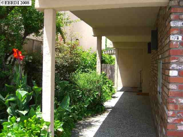 3877 SHAFTER AVE, OAKLAND, California 94609-2628, ,Comm Ri Multi-units 5+,For Sale,SHAFTER AVE,40315224