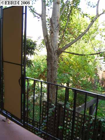 3877 SHAFTER AVE, OAKLAND, California 94609-2628, ,Comm Ri Multi-units 5+,For Sale,SHAFTER AVE,40315224