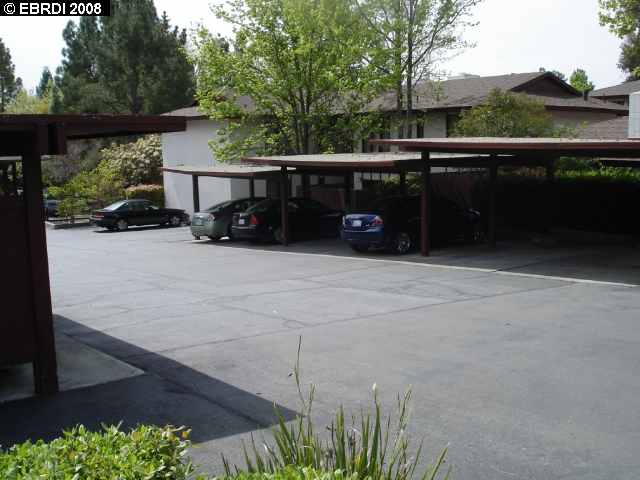153 Maricopa Ct, PLEASANT HILL, California 94523, ,Comm Ri Multi-units 5+,For Sale,Maricopa Ct,40334187