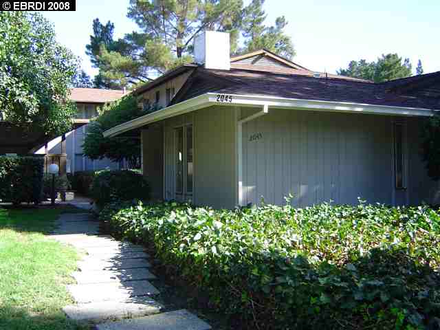 2045 Camel Lane, WALNUT CREEK, California 94596, ,Comm Ri Multi-units 5+,For Sale,Camel Lane,40378536