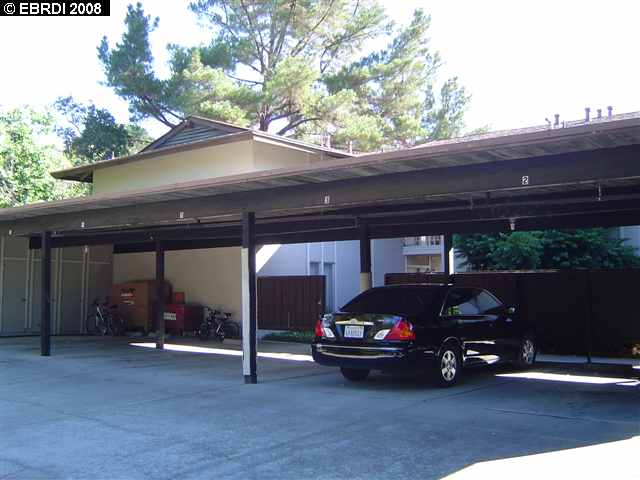 2045 Camel Lane, WALNUT CREEK, California 94596, ,Comm Ri Multi-units 5+,For Sale,Camel Lane,40378536