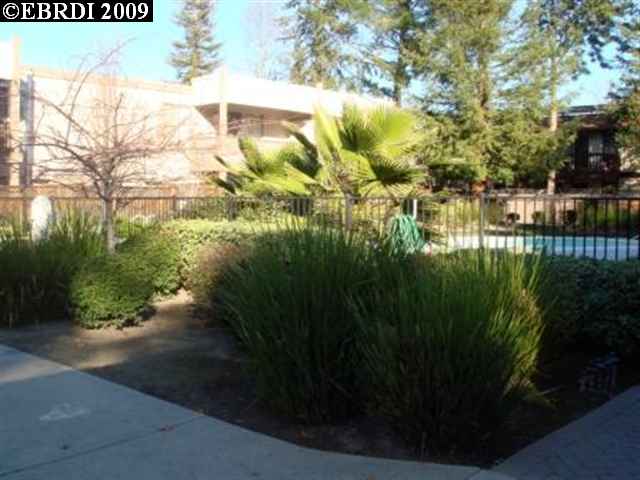 1808 OAK PARK BLVD, PLEASANT HILL, California 94523-4414, ,Comm Ri Multi-units 5+,For Sale,OAK PARK BLVD,40396637
