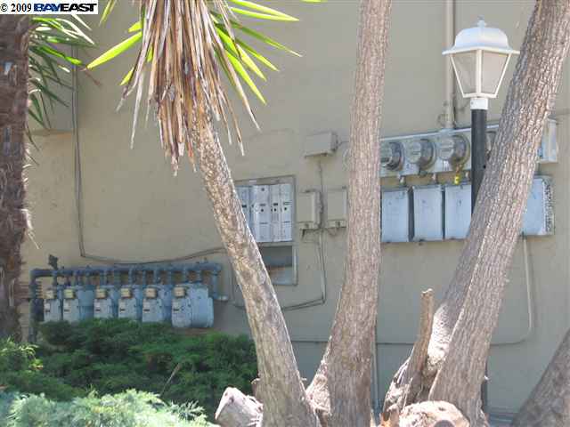 1600 Tyler Street, BERKELEY, California 94703, ,Comm Ri Multi-units 5+,For Sale,Tyler Street,40398020