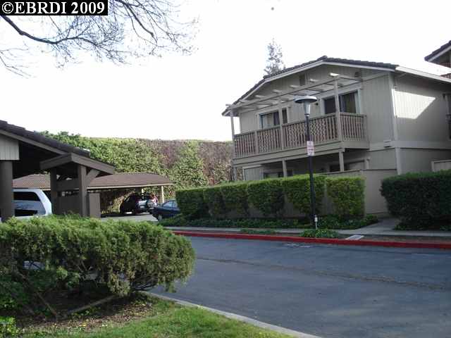 3886 MULBERRY DR, CONCORD, California 94519-1517, ,Comm Ri Multi-units 5+,For Sale,MULBERRY DR,40409380