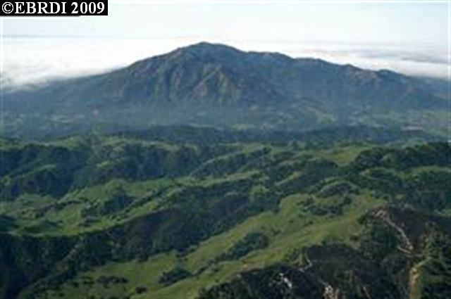 0 MAIN ST, BYRON, California 94514, ,Comm Lots And Land,For Sale,MAIN ST,40933924