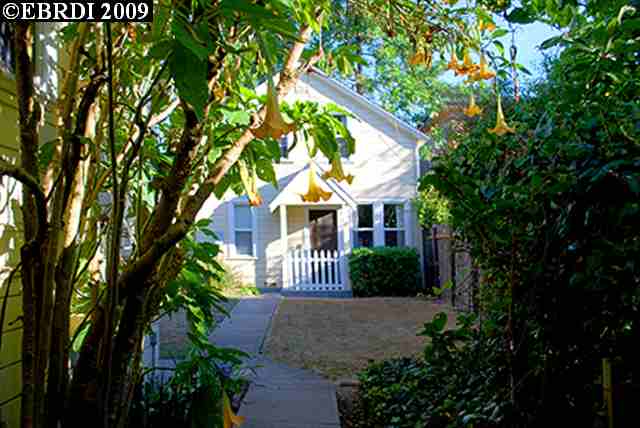 1609 STUART ST, BERKELEY, California 94703-2036, ,Comm Ri Multi-units 5+,For Sale,STUART ST,40429696