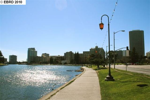 539 MANDANA BLVD, OAKLAND, California 94610-2215, ,Comm Ri Multi-units 5+,For Sale,MANDANA BLVD,40476875