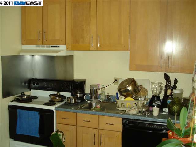 21825 Thelma Street, HAYWARD, California 94541, ,Comm Ri Multi-units 5+,For Sale,Thelma Street,40512694