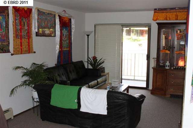 725 KEARNEY ST, EL CERRITO, California 94530-3107, ,Comm Ri Multi-units 5+,For Sale,KEARNEY ST,40519641