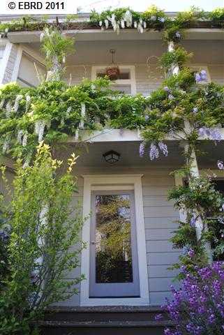 830 MILTON ST, OAKLAND, California 94607-3446, ,Comm Ri Multi-units 5+,For Sale,MILTON ST,40530742