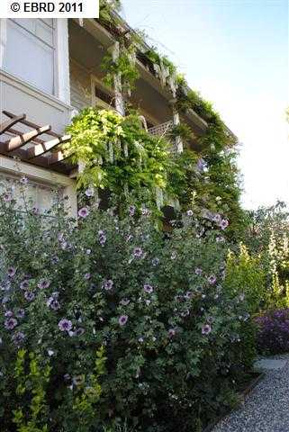 830 MILTON ST, OAKLAND, California 94607-3446, ,Comm Ri Multi-units 5+,For Sale,MILTON ST,40530742