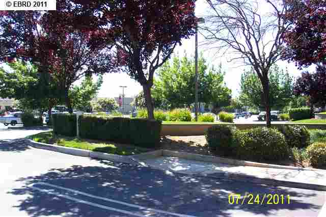 1135 2nd St. Ste C, BRENTWOOD, California 94513, ,Comm Industrial For Lease,For Rent,2nd St. Ste C,40937535