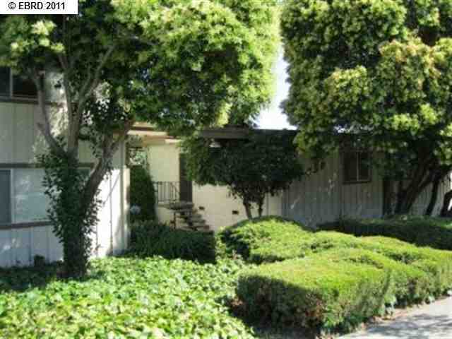 1650 159th Avenue, SAN LEANDRO, California 94578-2087, ,Comm Ri Multi-units 5+,For Sale,159th Avenue,40546825