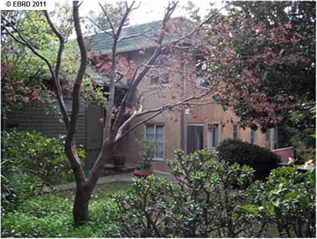1433 Spruce Street, BERKELEY, California 94709, ,Comm Ri Multi-units 5+,For Sale,Spruce Street,40548634
