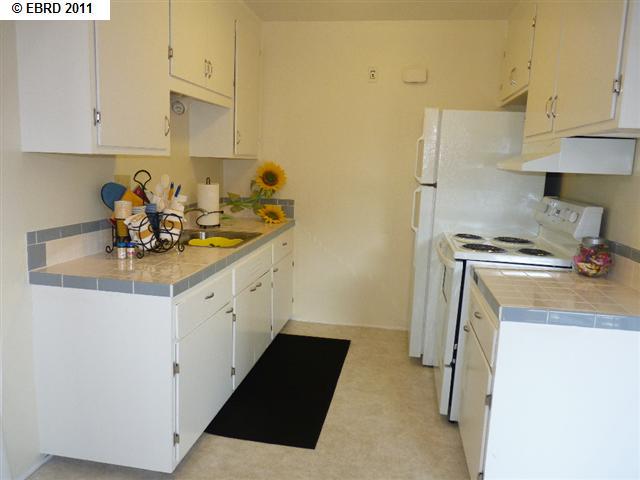 1576 Buena Vista Avenue, ALAMEDA, California 94501, ,Comm Ri Multi-units 5+,For Sale,Buena Vista Avenue,40549177