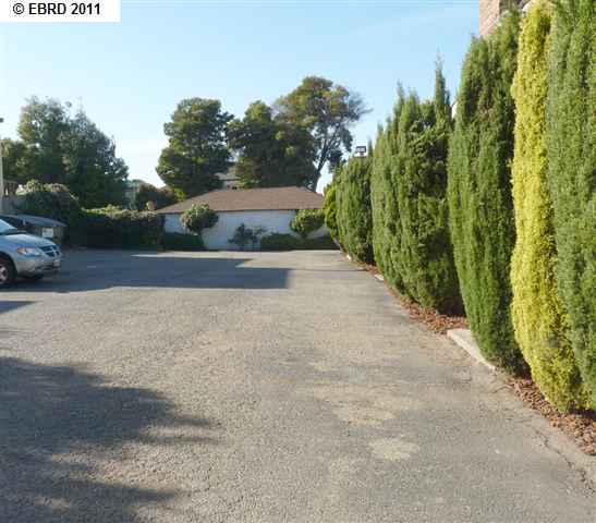 1576 Buena Vista Avenue, ALAMEDA, California 94501, ,Comm Ri Multi-units 5+,For Sale,Buena Vista Avenue,40549177