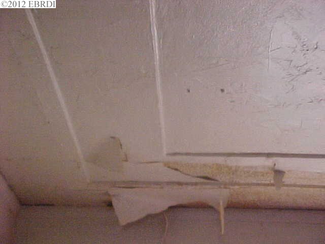 6034 TELEGRAPH AVE, OAKLAND, California 94609-1311, ,Comm Ri Multi-units 5+,For Sale,TELEGRAPH AVE,40559863