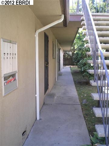 3071 Curran Ave, OAKLAND, California 94602, ,Comm Ri Multi-units 5+,For Sale,Curran Ave,40570848